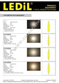 F14619_ANGELETTE-S-PLAIN Datasheet Page 6