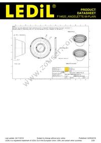 F14620_ANGELETTE-M-PLAIN Datasheet Page 2