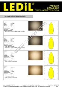 F14620_ANGELETTE-M-PLAIN Datasheet Page 3