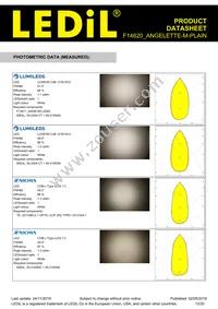 F14620_ANGELETTE-M-PLAIN Datasheet Page 13