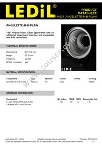 F14621_ANGELETTE-M-B-PLAIN Datasheet Cover
