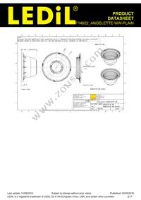 F14622_ANGELETTE-WW-PLAIN Datasheet Page 2