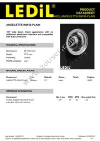 F14623_ANGELETTE-WW-B-PLAIN Datasheet Cover