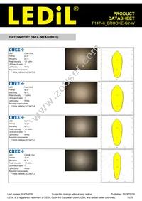 F14740_BROOKE-G2-W Datasheet Page 10