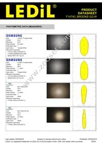 F14740_BROOKE-G2-W Datasheet Page 20