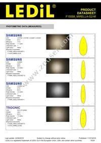 F15559_MIRELLA-G2-M Datasheet Page 19