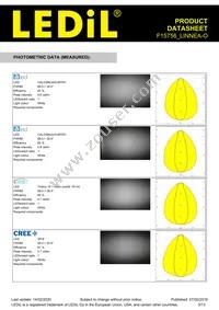 F15756_LINNEA-O Datasheet Page 3