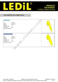 F16000_LINNEA-ZT25-B Datasheet Page 11