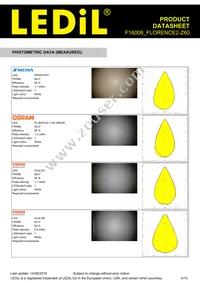 F16008_FLORENCE2-Z60 Datasheet Page 4