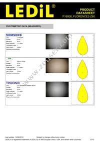 F16008_FLORENCE2-Z60 Datasheet Page 6