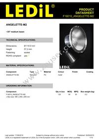 F16010_ANGELETTE-M2 Datasheet Cover