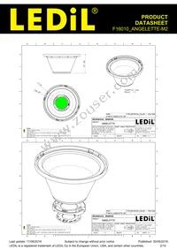 F16010_ANGELETTE-M2 Datasheet Page 2