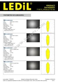 F16010_ANGELETTE-M2 Datasheet Page 10