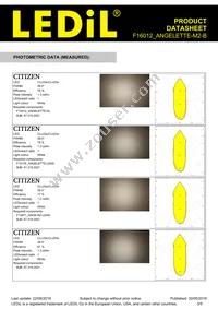 F16012_ANGELETTE-M2-B Datasheet Page 3