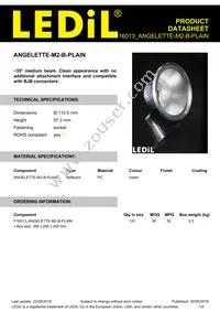 F16013_ANGELETTE-M2-B-PLAIN Datasheet Cover