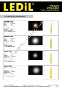 F16083_CARMEN-90-RS Datasheet Page 7