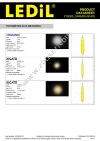 F16083_CARMEN-90-RS Datasheet Page 8