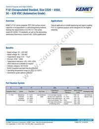 F161ZS475K100V Datasheet Cover