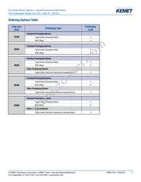 F161ZS475K100V Datasheet Page 2