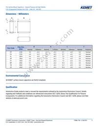 F161ZS475K100V Datasheet Page 3