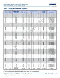 F161ZS475K100V Datasheet Page 5