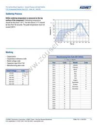 F161ZS475K100V Datasheet Page 9