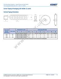 F161ZS475K100V Datasheet Page 12