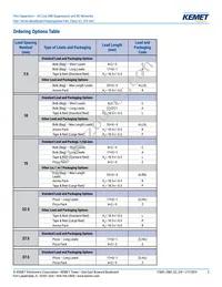 F861DU225K310ZLH0J Datasheet Page 2