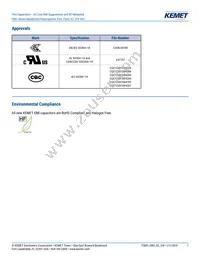 F861DU225K310ZLH0J Datasheet Page 7