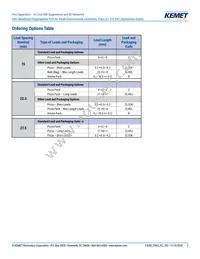 F862BK124K310ALR0L Datasheet Page 2