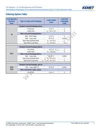 F863DV155M310L Datasheet Page 2