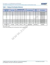 F863DV155M310L Datasheet Page 7