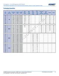 F863DV155M310L Datasheet Page 12