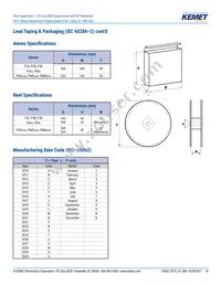 F872BE333M480C Datasheet Page 18