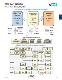 F981A336MSAAS1 Datasheet Page 3