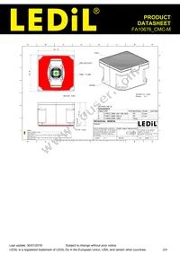 FA10676_CMC-M Datasheet Page 2