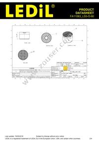 FA11063_LS5-O-90 Datasheet Page 2