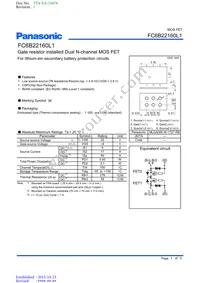 FC6B22160L1 Datasheet Cover