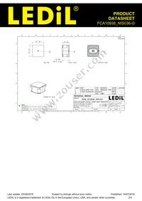 FCA10938_NIS036-O Datasheet Page 2