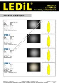 FCA15451_FLORENTINA-1-M Datasheet Page 3