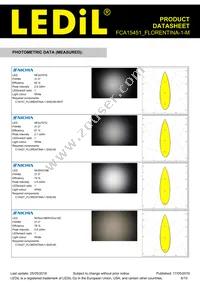 FCA15451_FLORENTINA-1-M Datasheet Page 6