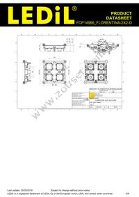 FCP14966_FLORENTINA-2X2-D Datasheet Page 2