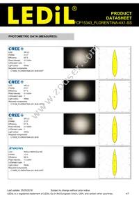 FCP15343_FLORENTINA-4X1-SS Datasheet Page 4