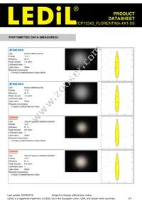 FCP15343_FLORENTINA-4X1-SS Datasheet Page 5