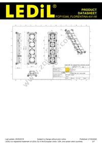 FCP15346_FLORENTINA-4X1-M Datasheet Page 2