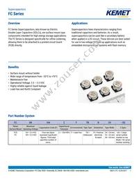 FCS0H224ZFTBR24 Datasheet Cover