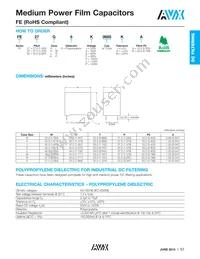 FE52N6L0206KB Datasheet Page 2