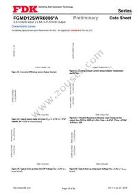 FGMD12SWR6006PA Datasheet Page 12