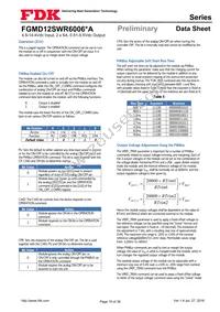 FGMD12SWR6006PA Datasheet Page 19