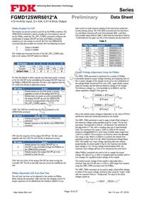 FGMD12SWR6012PA Datasheet Page 19